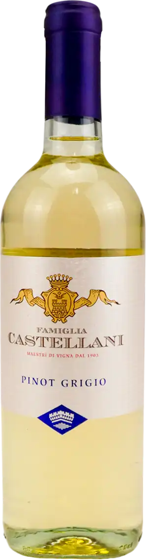 Фото 1 - Вино Castellani Pinot Grigio Delle Venezie IGT біле сухе 0.75 л