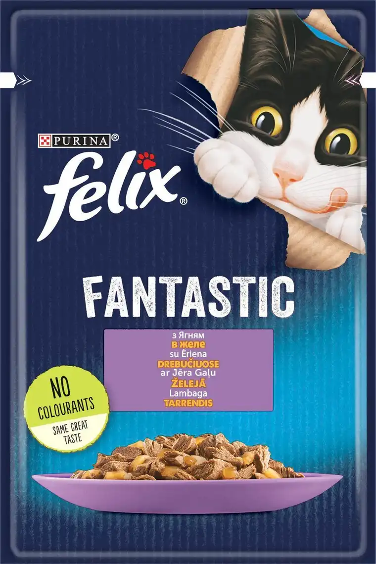 Фото 1 - Корм для котів Felix Fantastic з ягням в желе 85 г
