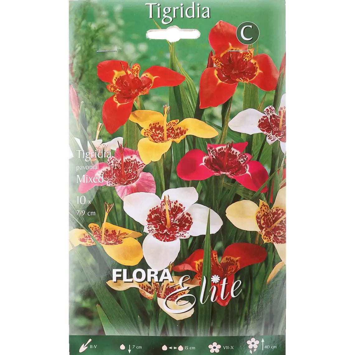 Фото 1 - Луковиці тигрідії Flora Elite Pavonia 10 шт 1 уп