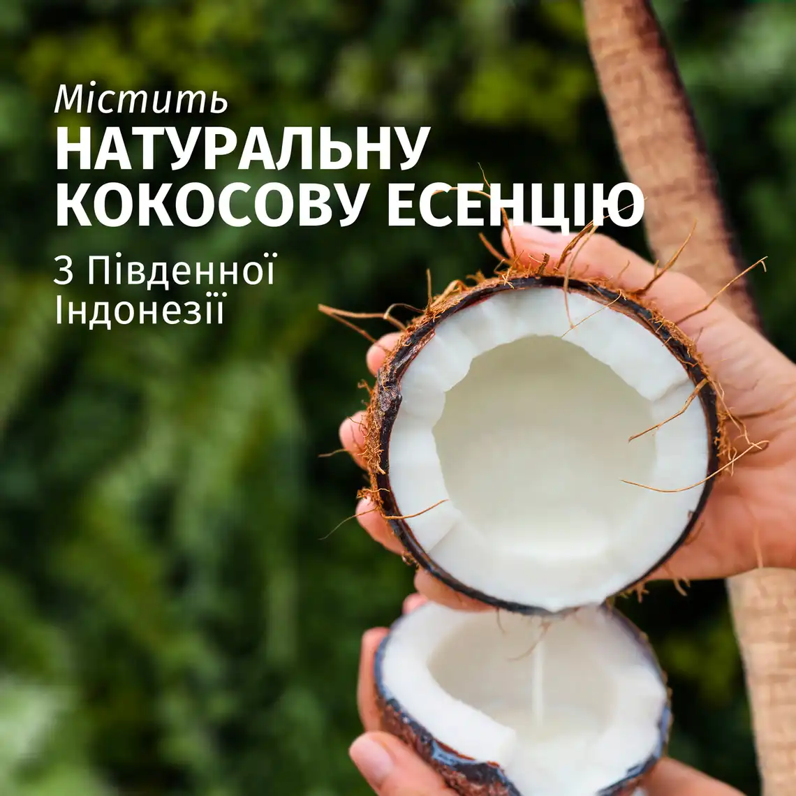 Фото 5 - Шампунь Herbal Essences Зволоження з ароматом кокосу 350 мл