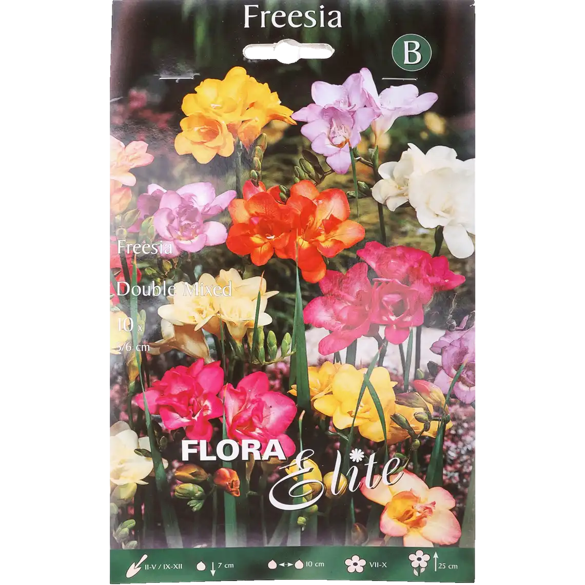 Фото 1 - Фрезія Double Mixed Flora Elite 10 цибулин в упаковці