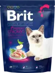Фото 6 - Brit