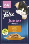 Фото 7 - Felix