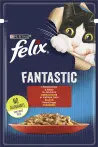 Фото 5 - Felix