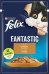 Фото 4 - Felix