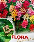 Фото 3 - Flora