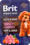 Фото 20 - Brit