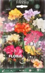 Фото 17 - Flora