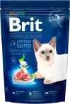 Фото 7 - Brit