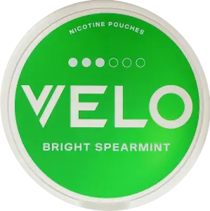 Фото 12 - Паучі Velo Bright Spearmint Класичний безтютюнові нікотиновмісні