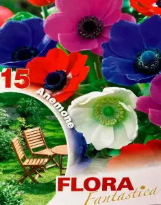 Фото 11 - Луковиці анемони Flora Elite De Caen Mixed 20 шт 1 уп