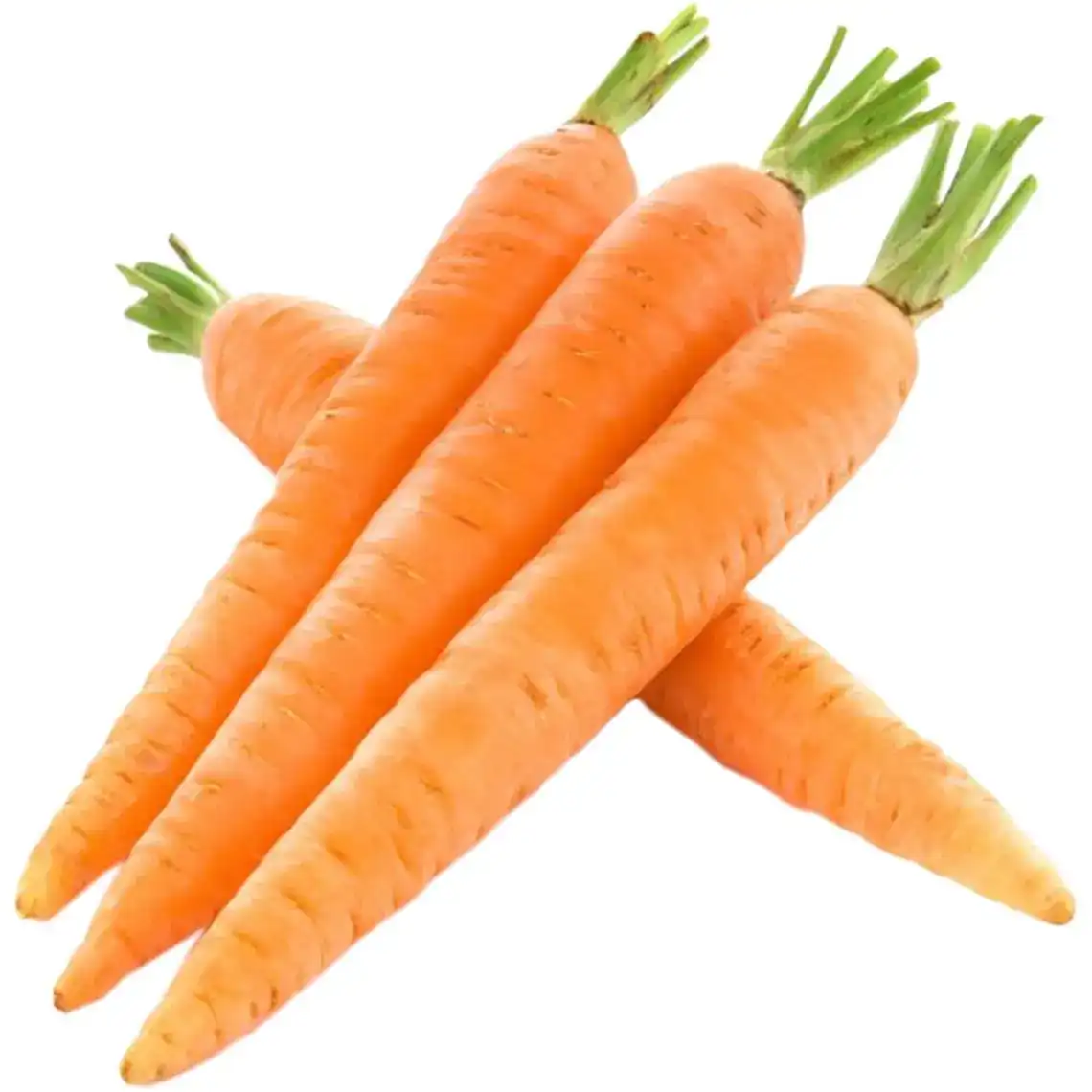 Морква молода 1 сорт, вагова