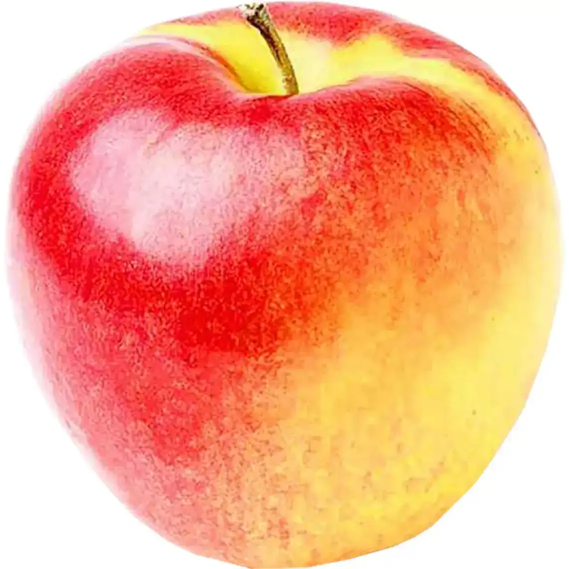 Яблуко Ліголь вагове