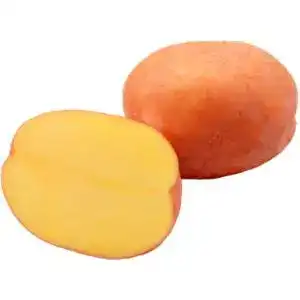 Картофель для запекания Белла Роса весовая