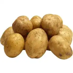 Картошка 1 сорт