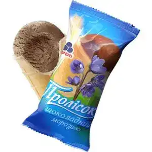 Морозиво Рудь Пролісок шоколад 60 г