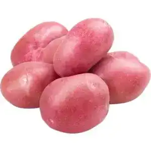 Картопля Ред Скін червона 1 кг