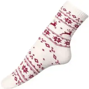 Шкарпетки жіночі класичні V&T Етно Family 44-112-0431 р.23-25 молочний