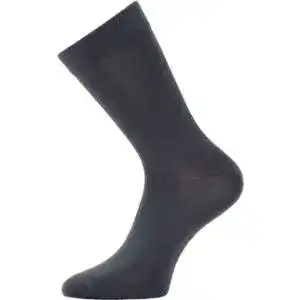 Шкарпетки чоловічі Легка Хода 6377 р.29 асорті