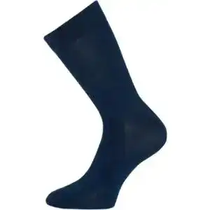 Шкарпетки чоловічі Легка Хода 6377 р.31 асорті